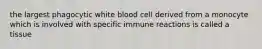 the largest phagocytic white blood cell derived from a monocyte which is involved with specific immune reactions is called a tissue