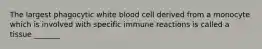 The largest phagocytic white blood cell derived from a monocyte which is involved with specific immune reactions is called a tissue _______