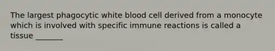 The largest phagocytic white blood cell derived from a monocyte which is involved with specific immune reactions is called a tissue _______