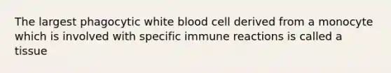 The largest phagocytic white blood cell derived from a monocyte which is involved with specific immune reactions is called a tissue