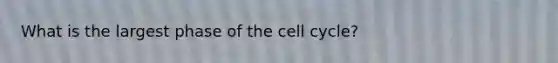 What is the largest phase of the cell cycle?