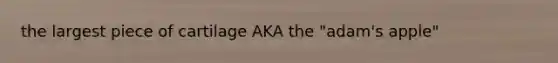 the largest piece of cartilage AKA the "adam's apple"