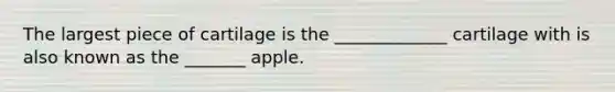 The largest piece of cartilage is the _____________ cartilage with is also known as the _______ apple.