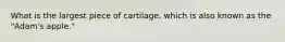 What is the largest piece of cartilage, which is also known as the "Adam's apple."