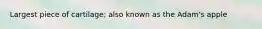 Largest piece of cartilage; also known as the Adam's apple