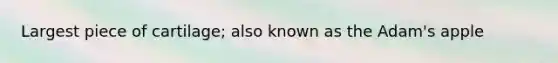 Largest piece of cartilage; also known as the Adam's apple