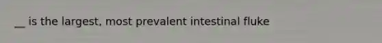 __ is the largest, most prevalent intestinal fluke