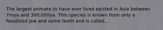 The largest primate to have ever lived existed in Asia between 7mya and 300,000ya. This species is known from only a fossilized jaw and some teeth and is called...