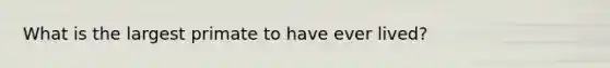 What is the largest primate to have ever lived?