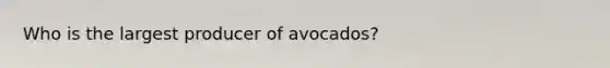 Who is the largest producer of avocados?