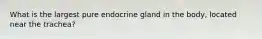 What is the largest pure endocrine gland in the body, located near the trachea?