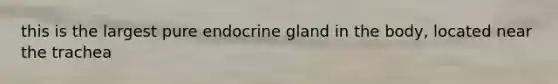 this is the largest pure endocrine gland in the body, located near the trachea