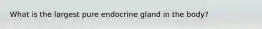 What is the largest pure endocrine gland in the body?