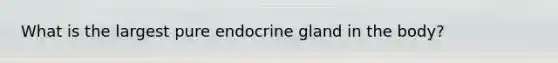 What is the largest pure endocrine gland in the body?