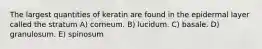 The largest quantities of keratin are found in the epidermal layer called the stratum A) corneum. B) lucidum. C) basale. D) granulosum. E) spinosum