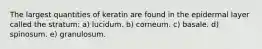 The largest quantities of keratin are found in the epidermal layer called the stratum: a) lucidum. b) corneum. c) basale. d) spinosum. e) granulosum.