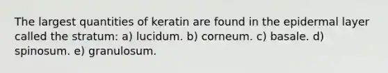 The largest quantities of keratin are found in the epidermal layer called the stratum: a) lucidum. b) corneum. c) basale. d) spinosum. e) granulosum.