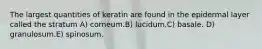 The largest quantities of keratin are found in the epidermal layer called the stratum A) corneum.B) lucidum.C) basale. D) granulosum.E) spinosum.