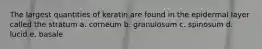 The largest quantities of keratin are found in the epidermal layer called the stratum a. corneum b. granulosum c. spinosum d. lucid e. basale