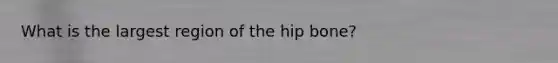 What is the largest region of the hip bone?