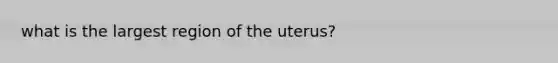 what is the largest region of the uterus?