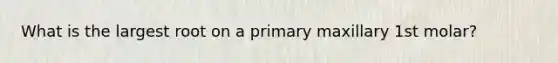 What is the largest root on a primary maxillary 1st molar?