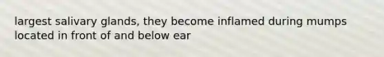 largest salivary glands, they become inflamed during mumps located in front of and below ear