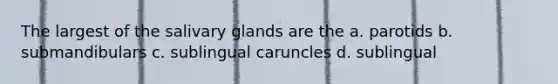 The largest of the salivary glands are the a. parotids b. submandibulars c. sublingual caruncles d. sublingual