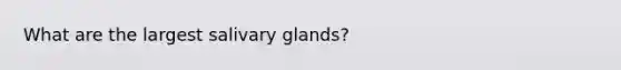 What are the largest salivary glands?