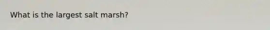 What is the largest salt marsh?