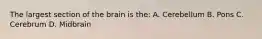 The largest section of the brain is the: A. Cerebellum B. Pons C. Cerebrum D. Midbrain