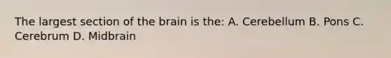 The largest section of the brain is the: A. Cerebellum B. Pons C. Cerebrum D. Midbrain