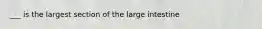 ___ is the largest section of the large intestine