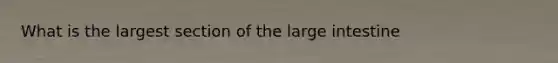 What is the largest section of the large intestine