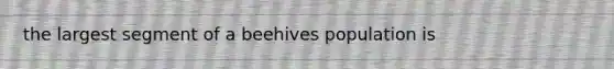 the largest segment of a beehives population is