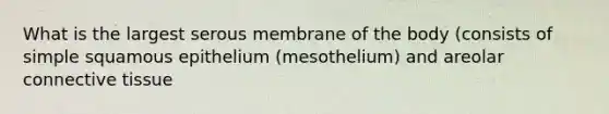 What is the largest serous membrane of the body (consists of simple squamous epithelium (mesothelium) and areolar connective tissue