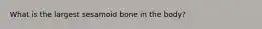 What is the largest sesamoid bone in the body?