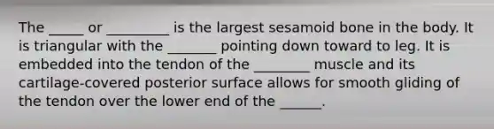 The _____ or _________ is the largest sesamoid bone in the body. It is triangular with the _______ pointing down toward to leg. It is embedded into the tendon of the ________ muscle and its cartilage-covered posterior surface allows for smooth gliding of the tendon over the lower end of the ______.