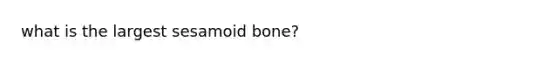 what is the largest sesamoid bone?