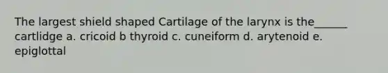 The largest shield shaped Cartilage of the larynx is the______ cartlidge a. cricoid b thyroid c. cuneiform d. arytenoid e. epiglottal