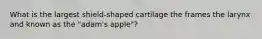 What is the largest shield-shaped cartilage the frames the larynx and known as the "adam's apple"?