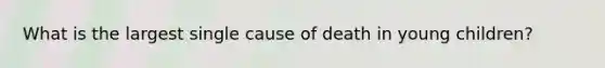 What is the largest single cause of death in young children?