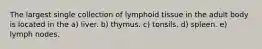 The largest single collection of lymphoid tissue in the adult body is located in the a) liver. b) thymus. c) tonsils. d) spleen. e) lymph nodes.