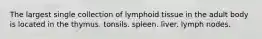 The largest single collection of lymphoid tissue in the adult body is located in the thymus. tonsils. spleen. liver. lymph nodes.