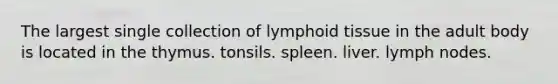 The largest single collection of lymphoid tissue in the adult body is located in the thymus. tonsils. spleen. liver. lymph nodes.