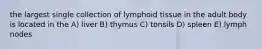 the largest single collection of lymphoid tissue in the adult body is located in the A) liver B) thymus C) tonsils D) spleen E) lymph nodes