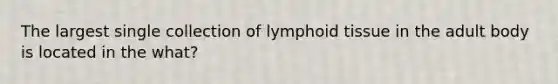 The largest single collection of lymphoid tissue in the adult body is located in the what?