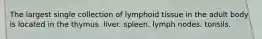 The largest single collection of lymphoid tissue in the adult body is located in the thymus. liver. spleen. lymph nodes. tonsils.