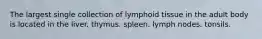 The largest single collection of lymphoid tissue in the adult body is located in the liver. thymus. spleen. lymph nodes. tonsils.