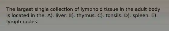 The largest single collection of lymphoid tissue in the adult body is located in the: A). liver. B). thymus. C). tonsils. D). spleen. E). lymph nodes.